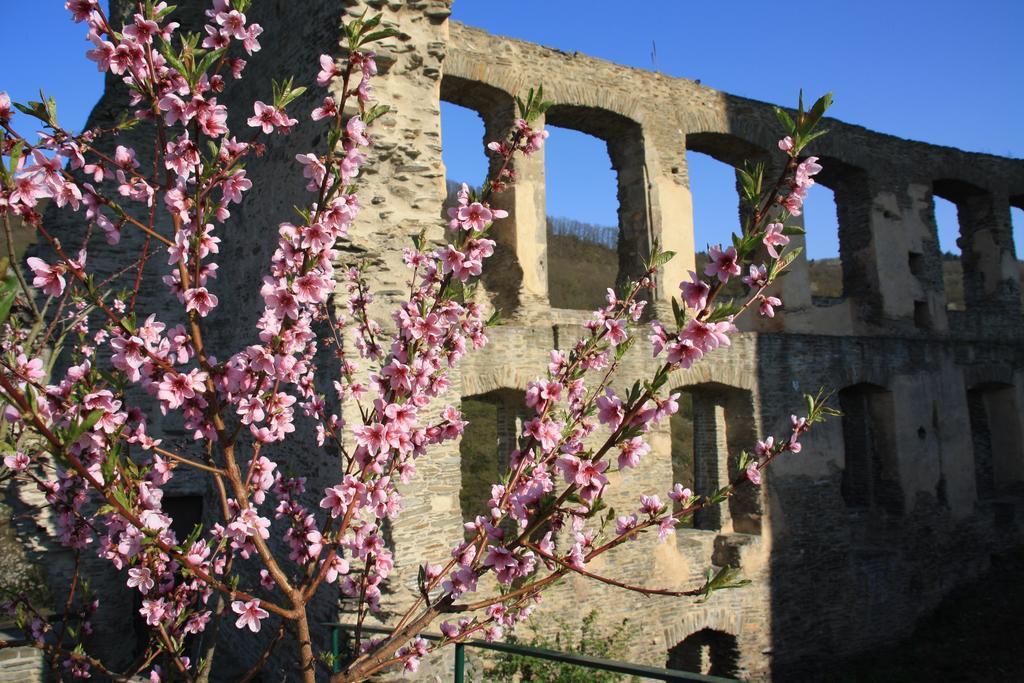 Fewo Purper Frauenberg Exterior foto
